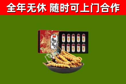 昌乐县烟酒回收冬虫夏草礼盒.jpg