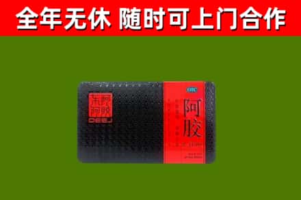 昌乐县回收阿胶