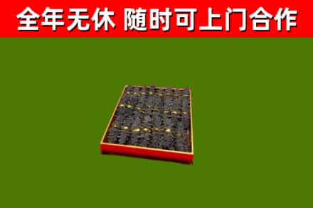 昌乐县回收海参